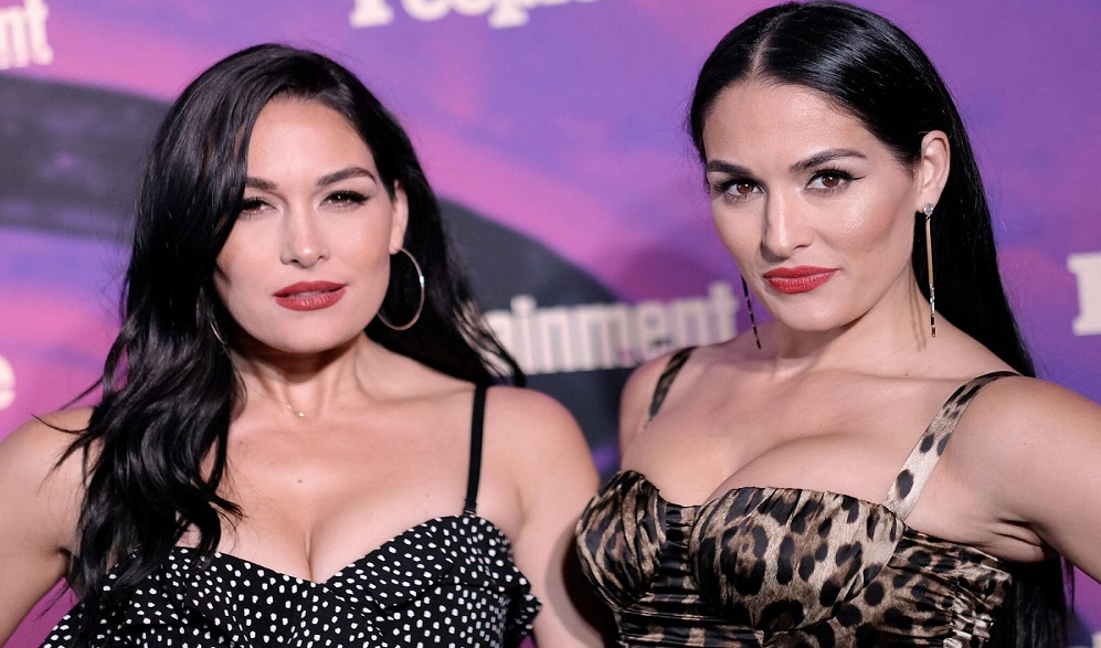 The Bella Twins