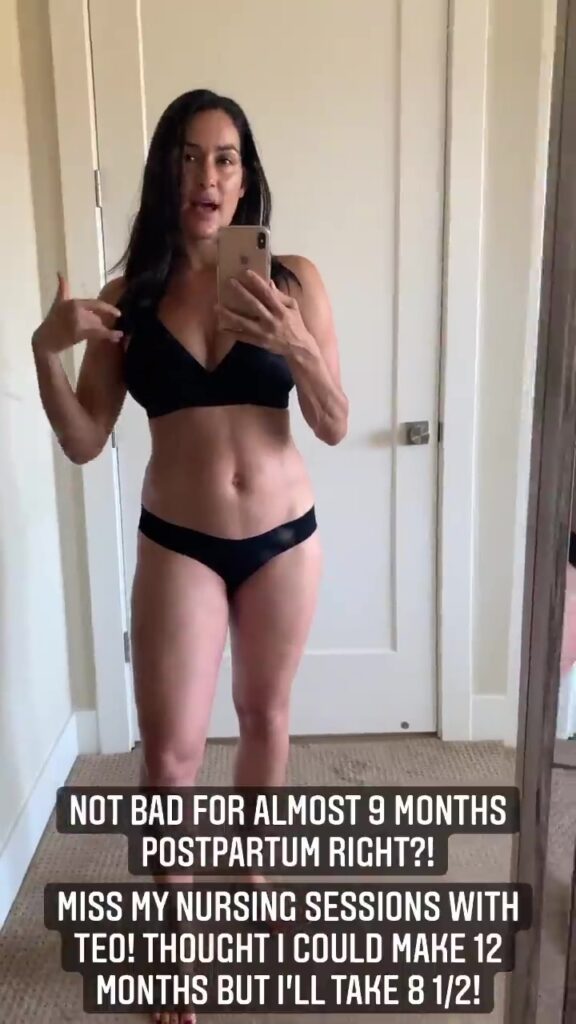 WWE Star Nikki Bella Posts Hot Videos; 10 Lbs. Away From Pre-Baby Body 4