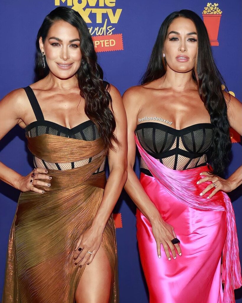 WWE’s Brie And Nikki Bella Sizzles At 2021 MTV Movie & TV Awards Red Carpet 5