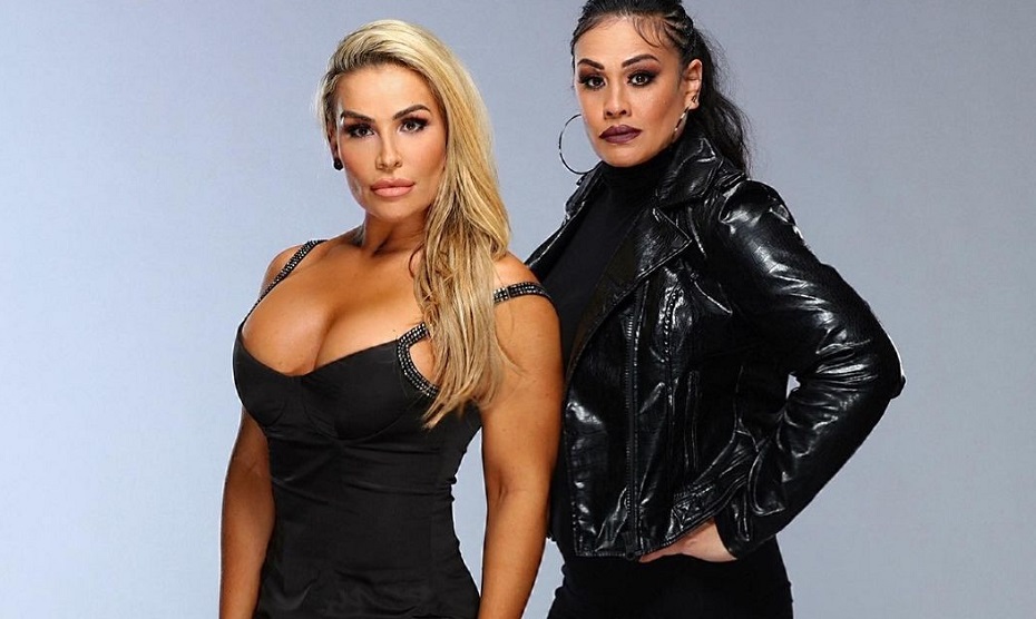 Natalya And Tamina Snuka Become New WWE Women's Tag Champs On Smackdown