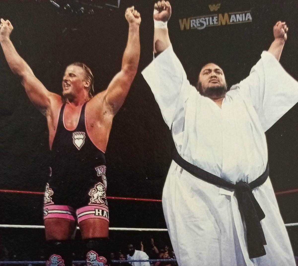 Owen Hart And Yokozuna