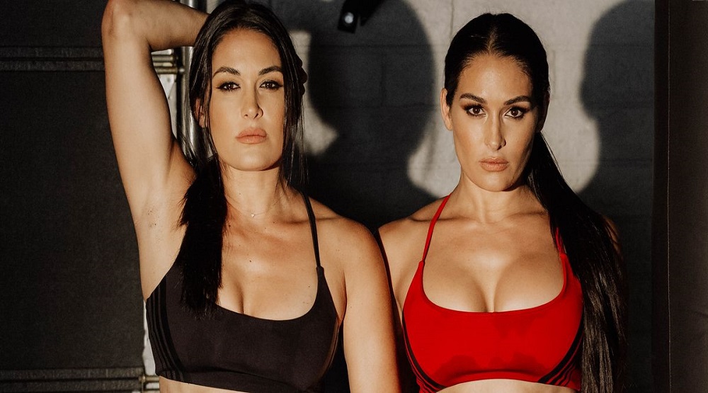 The Bella Twins