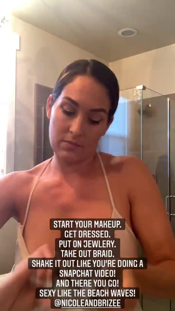 What is brie bella snapchat