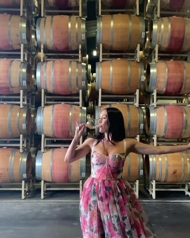 WWE Star Nikki Bella Celebrates Wine Bottling Day In Gorgeous Floral Dress 5