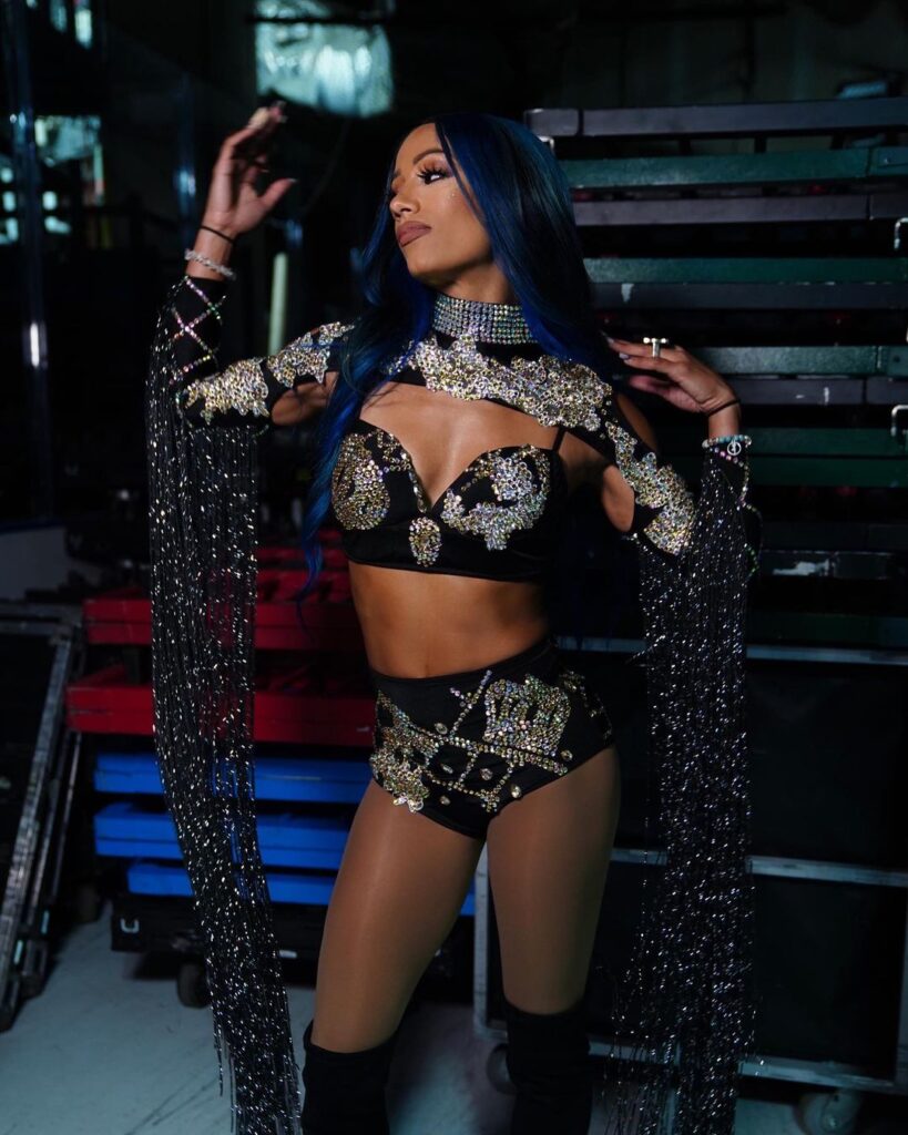 WWE Star Sasha Banks Shows Off ‘All For The Money’ Ring Gear Close-Up Photos 5