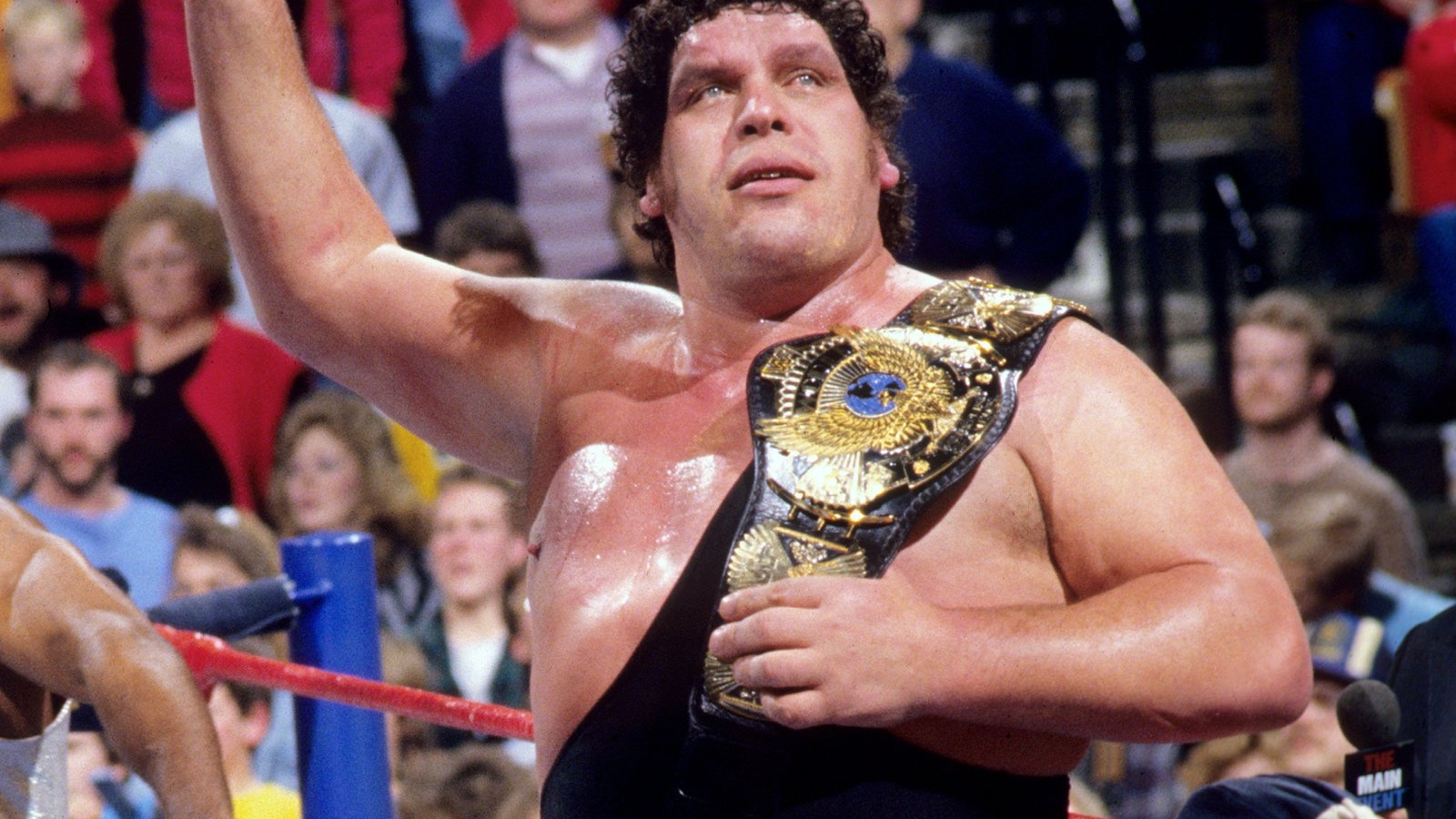 Bruce Prichard On The Relationship Between Andre The Giant And Bam Bam Bige...
