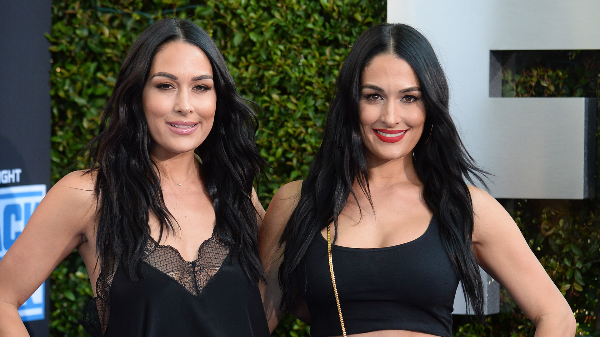 The Bella Twins