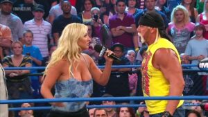 Brooke Hogan-Bully Ray