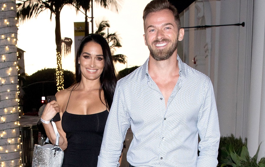 Nikki Bella-Artem