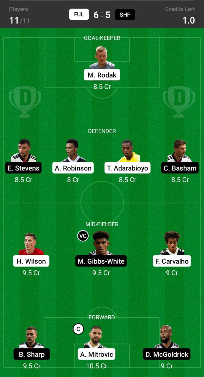 FUL vs SHF Dream11 Prediction, Dream11 Tips and Prediction, Championship Dream11