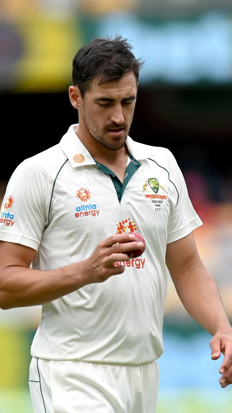 Mitchell Starc Likely To Be Fit For The Boxing Day Test, Doubts Remain Over Josh Hazlewood's Fitness 2