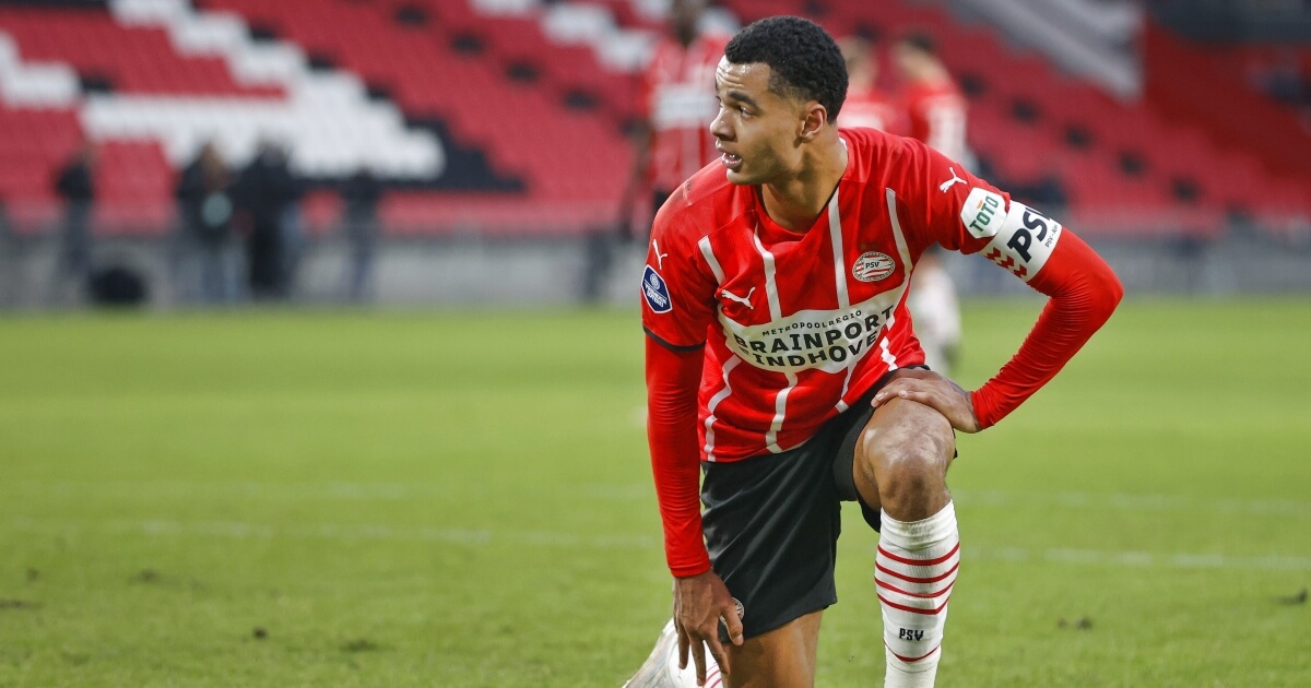PSV offer new contract to Cody Gakpo
