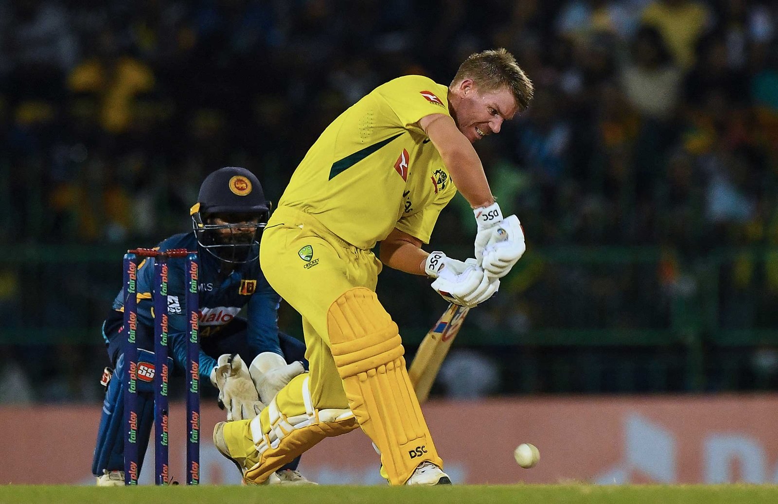 David Warner