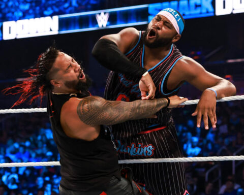 Photo: Zelina Vega Suffered Wardrobe Malfunction On WWE TV