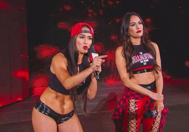 The Bella Twins