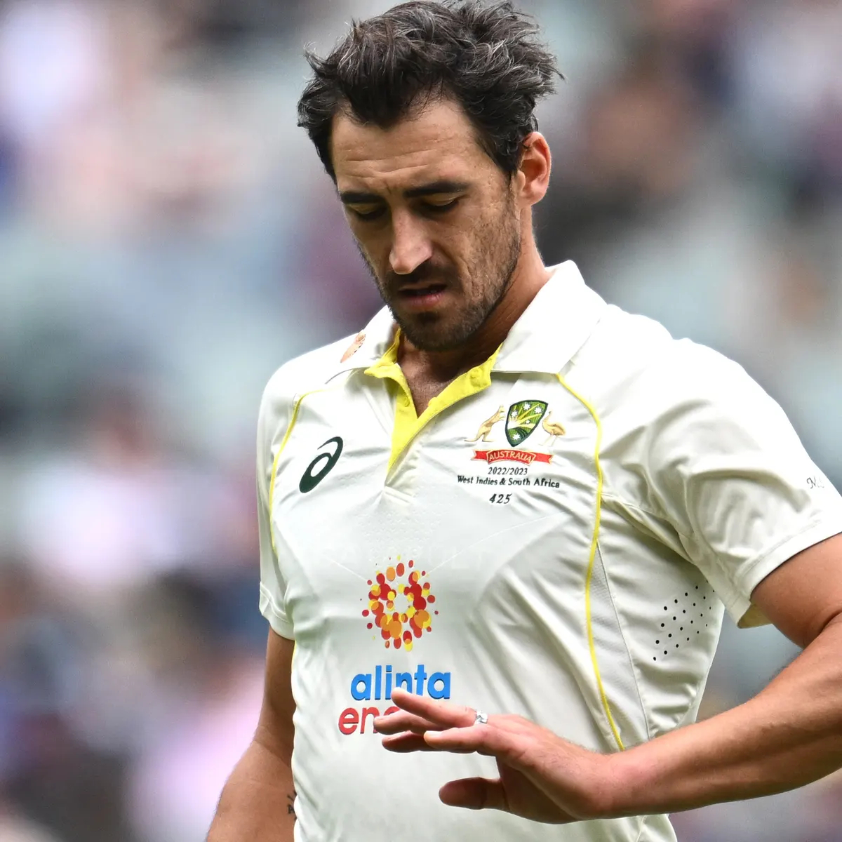 Mitchell Starc. PC- Getty