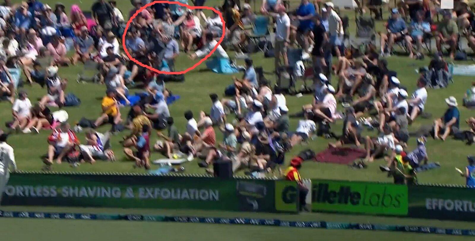 New Zealand vs England