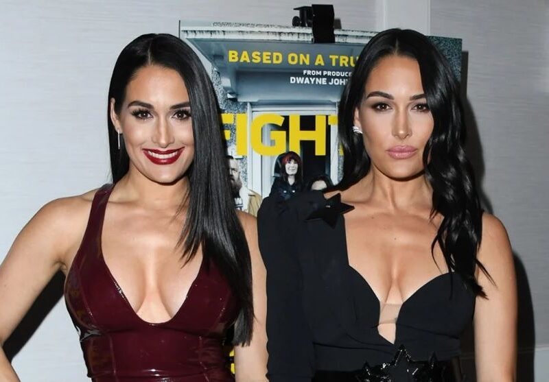 The Bella Twins
