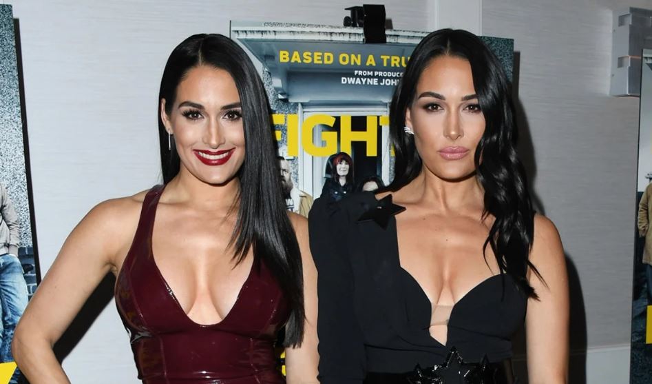 The Bella Twins