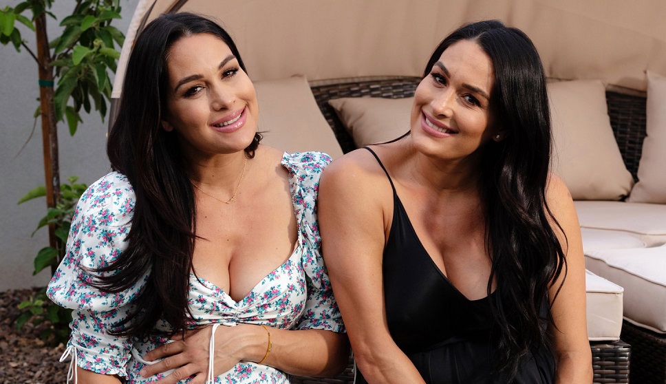 The Bella Twins