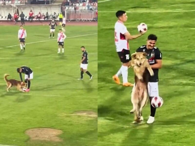 Chilean Primera Division