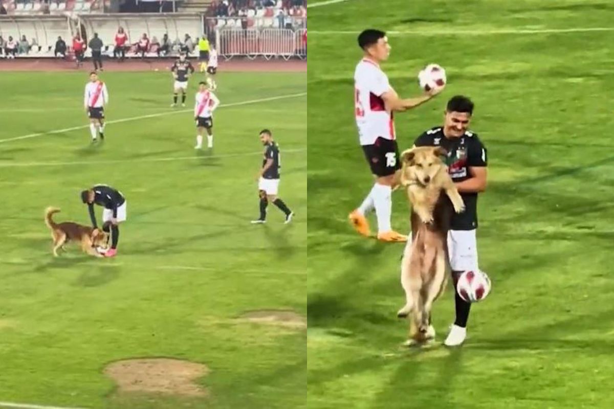 Chilean Primera Division