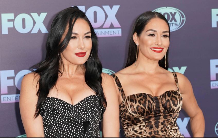 The Bella Twins