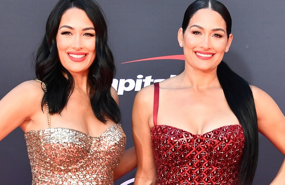 The Bella Twins