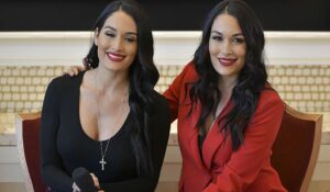 The Bella Twins