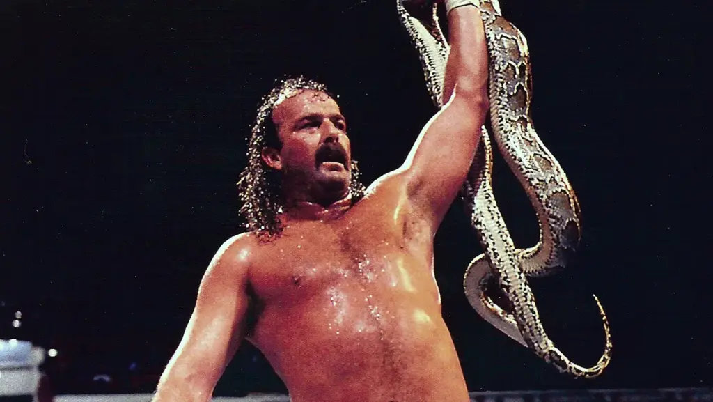 Jake Roberts: Age, Height, Weight, Wife, Net Worth, Family, Injury Details, Tattoo, and Other Unknown Facts