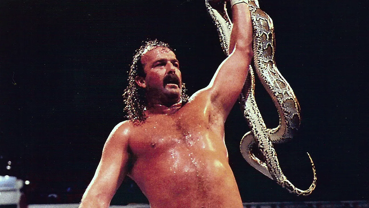 Jake Roberts