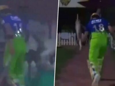 IPL 2024: Watch- Furious Virat Kohli Smashes Trash Can In Anger, Slams His Bat On The Ground After Controversial Dismissal