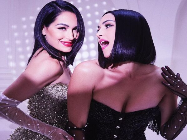 The Bella Twins Once Planned For Long-Term Feud With Ex WWE Tag Champions