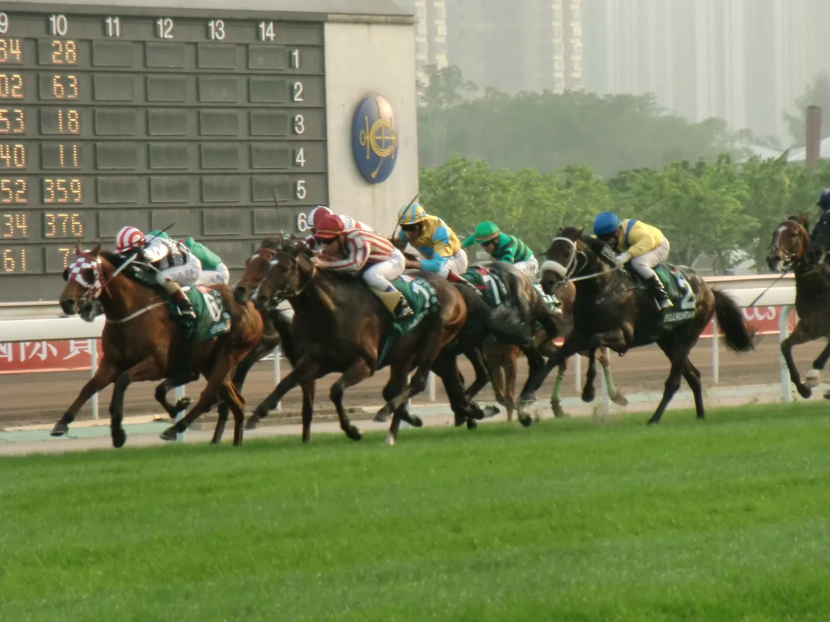 Hong Kong Horse Racing: A Thrilling Sport 1