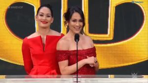 The Bella Twins