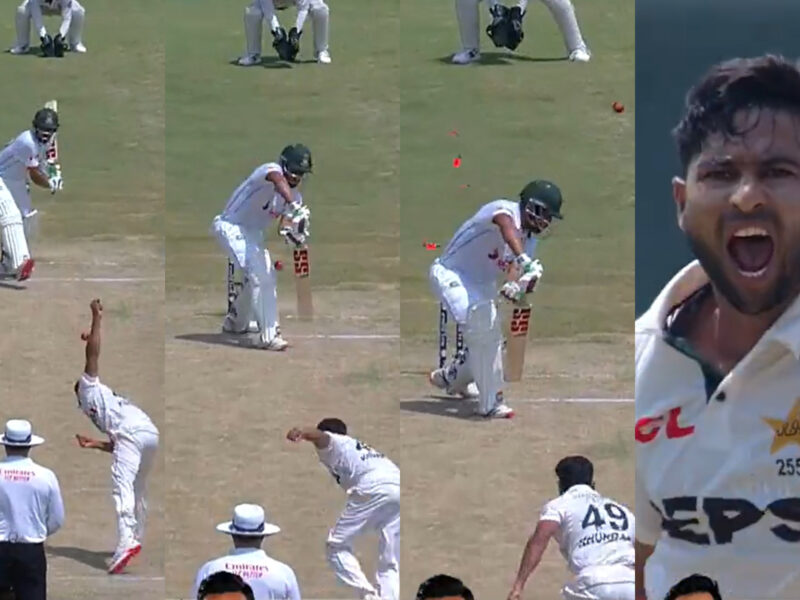 Khurram Shahzad and Najmul hossain Shanto