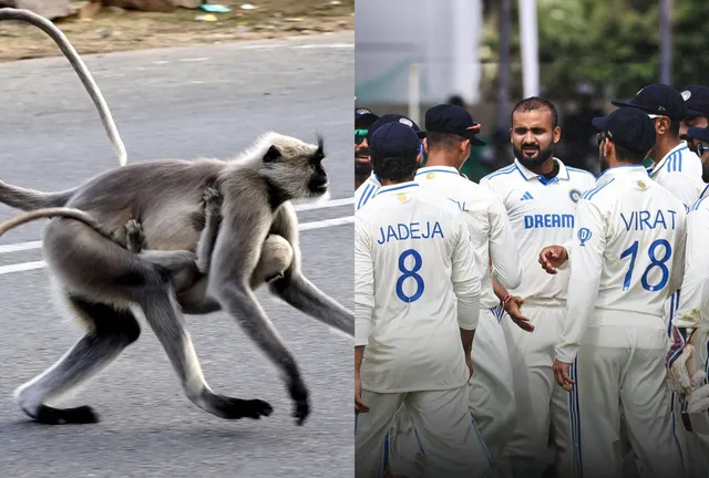 Langurs hired by Kanpur stadium management. Photo- Twitter