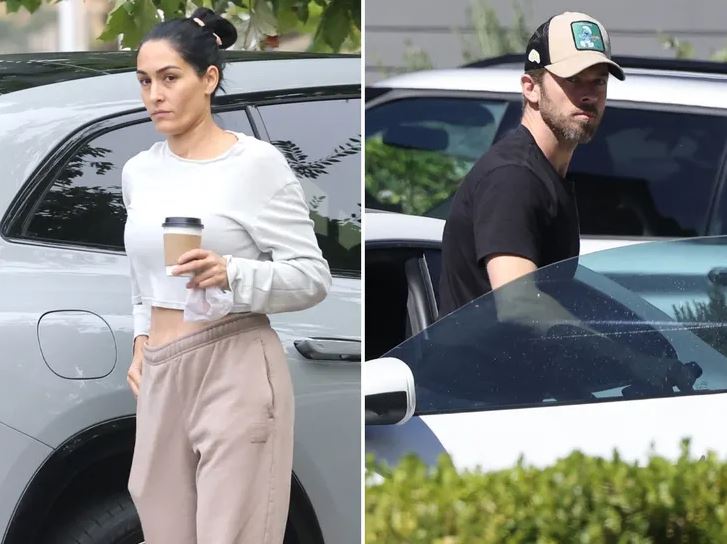 WWE’s Nikki Bella Spotted With Baby And Husband Since Filing Divorce 2