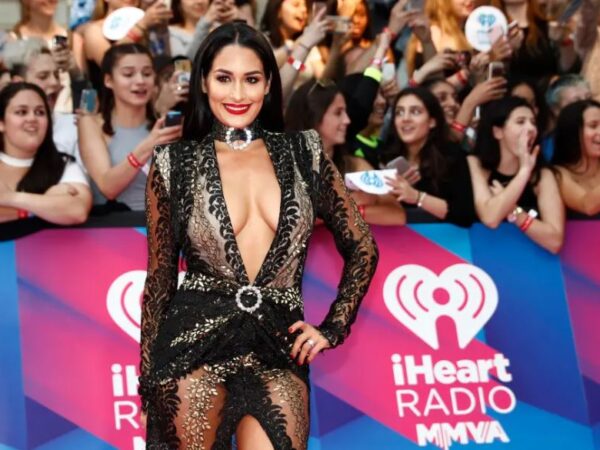 WWE’s Nikki Bella’s Husband Escapes Any Charges Following Domestic Violence Arrest