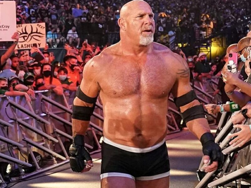 Goldberg Possibly Getting His Next Match At THIS 2024 WWE PREMIUM LIVE EVENT