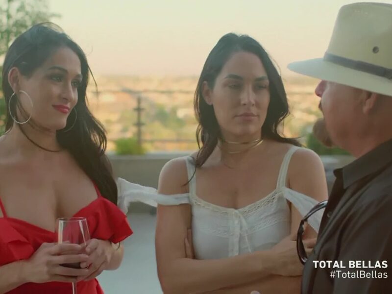 Nikki Bella Admittedly “Would Love To Do A Tag Team Run” With Brie Bella In WWE