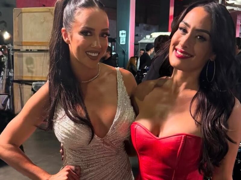 “I Immediately Get Turned On By That,” Nikki Bella On Facing Current Champion In WWE