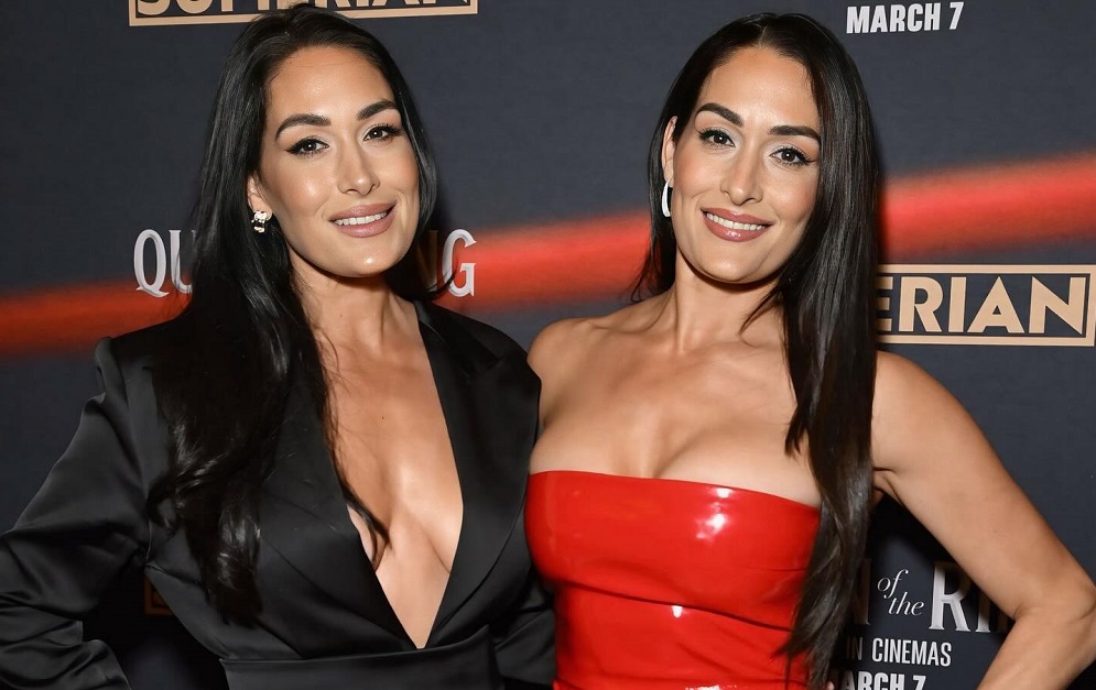 Brie Bella - Nikki Bella