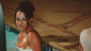 Nikki Bella of The Bella Twins