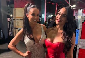 WWE Summerslam 2025 card