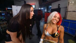 WWE Royal Rumble 2025